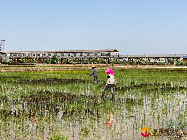 时政新闻眼丨​贺兰山下考察，习近平看重这些